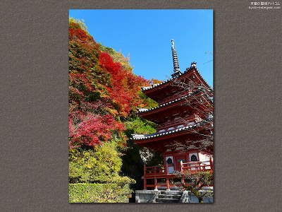 �O���ˎ�04�y�_�E�����[�h����ꍇ�͉E�̉摜�T�C�Y���N���b�N���Ă��������z