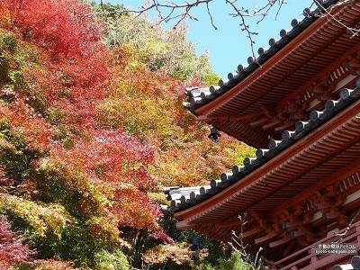 �O���ˎ�06�y�_�E�����[�h����ꍇ�͉E�̉摜�T�C�Y���N���b�N���Ă��������z