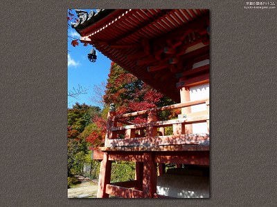 �O���ˎ�07�y�_�E�����[�h����ꍇ�͉E�̉摜�T�C�Y���N���b�N���Ă��������z