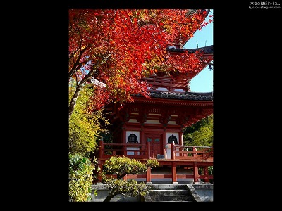 �O���ˎ�08�y�_�E�����[�h����ꍇ�͉E�̉摜�T�C�Y���N���b�N���Ă��������z