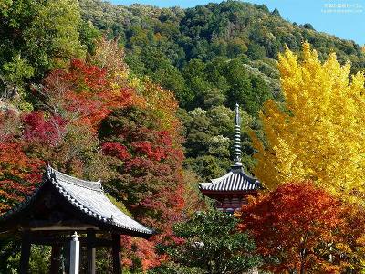 �O���ˎ�10�y�_�E�����[�h����ꍇ�͉E�̉摜�T�C�Y���N���b�N���Ă��������z