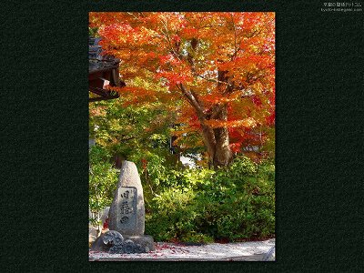 ���S��02�y�_�E�����[�h����ꍇ�͉E�̉摜�T�C�Y���N���b�N���Ă��������z