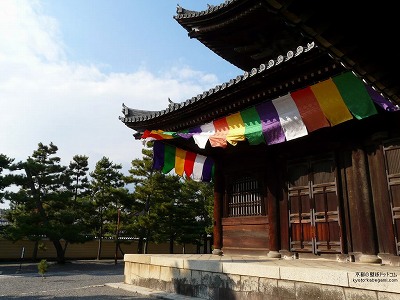 ���S��03�y�_�E�����[�h����ꍇ�͉E�̉摜�T�C�Y���N���b�N���Ă��������z