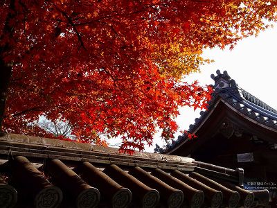 ���S��05�y�_�E�����[�h����ꍇ�͉E�̉摜�T�C�Y���N���b�N���Ă��������z