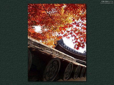 ���S��06�y�_�E�����[�h����ꍇ�͉E�̉摜�T�C�Y���N���b�N���Ă��������z