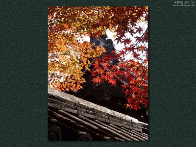 ���S��07�y�_�E�����[�h����ꍇ�͉E�̉摜�T�C�Y���N���b�N���Ă��������z