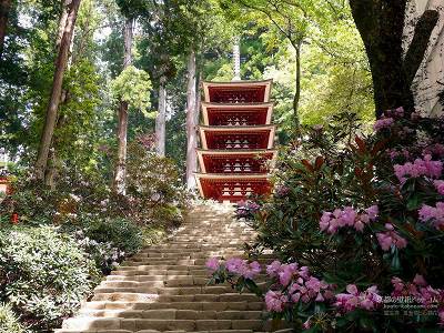 ������07�y�_�E�����[�h����ꍇ�͉E�̉摜�T�C�Y���N���b�N���Ă��������z