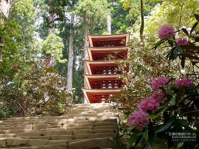 ������08�y�_�E�����[�h����ꍇ�͉E�̉摜�T�C�Y���N���b�N���Ă��������z