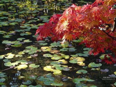 ����01�y�_�E�����[�h����ꍇ�͉E�̉摜�T�C�Y���N���b�N���Ă��������z