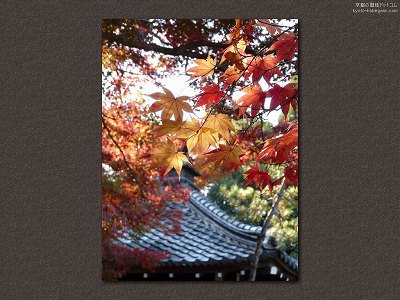 ����02�y�_�E�����[�h����ꍇ�͉E�̉摜�T�C�Y���N���b�N���Ă��������z