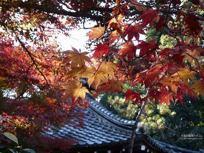 ����03�y�_�E�����[�h����ꍇ�͉E�̉摜�T�C�Y���N���b�N���Ă��������z