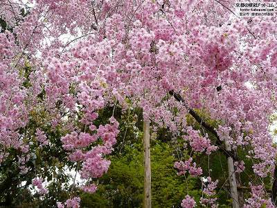 ������01�y�_�E�����[�h����ꍇ�͉E�̉摜�T�C�Y���N���b�N���Ă��������z