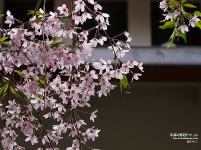 ������02�y�_�E�����[�h����ꍇ�͉E�̉摜�T�C�Y���N���b�N���Ă��������z