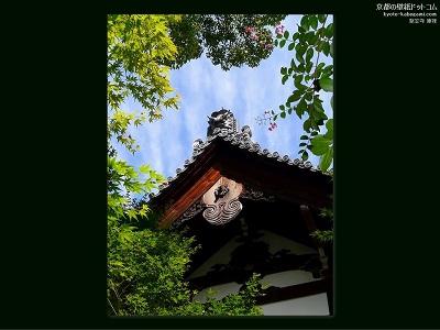 ������09�y�_�E�����[�h����ꍇ�͉E�̉摜�T�C�Y���N���b�N���Ă��������z