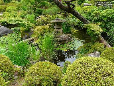 �g�鉀01�y�_�E�����[�h����ꍇ�͉E�̉摜�T�C�Y���N���b�N���Ă��������z