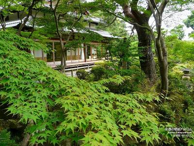 �g�鉀03�y�_�E�����[�h����ꍇ�͉E�̉摜�T�C�Y���N���b�N���Ă��������z