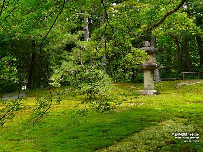 �g�鉀04�y�_�E�����[�h����ꍇ�͉E�̉摜�T�C�Y���N���b�N���Ă��������z