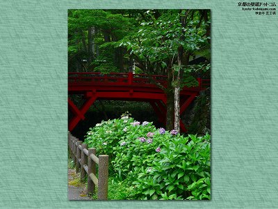 ������01�y�_�E�����[�h����ꍇ�͉E�̉摜�T�C�Y���N���b�N���Ă��������z