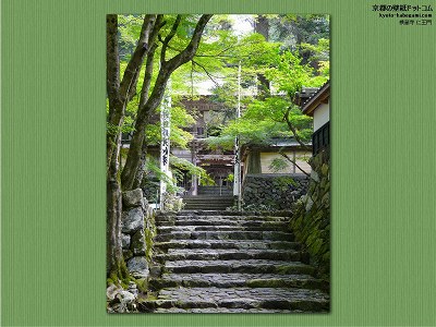 ������03�y�_�E�����[�h����ꍇ�͉E�̉摜�T�C�Y���N���b�N���Ă��������z