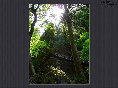 ������05�y�_�E�����[�h����ꍇ�͉E�̉摜�T�C�Y���N���b�N���Ă��������z