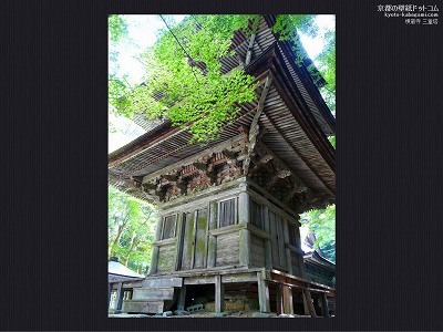 ������06�y�_�E�����[�h����ꍇ�͉E�̉摜�T�C�Y���N���b�N���Ă��������z