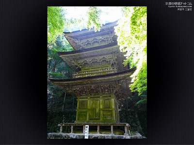 ������07�y�_�E�����[�h����ꍇ�͉E�̉摜�T�C�Y���N���b�N���Ă��������z