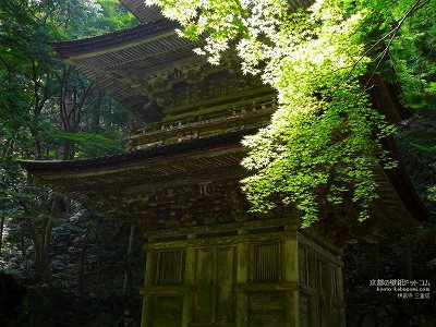 ������10�y�_�E�����[�h����ꍇ�͉E�̉摜�T�C�Y���N���b�N���Ă��������z